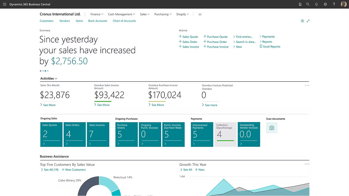 NetMonkeys Business Central finance consultant