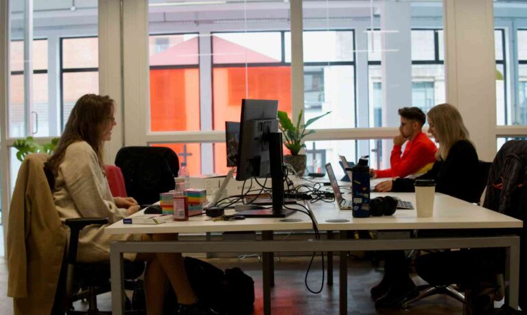 Software and IT company