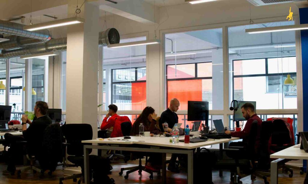 Netmonkeys office team