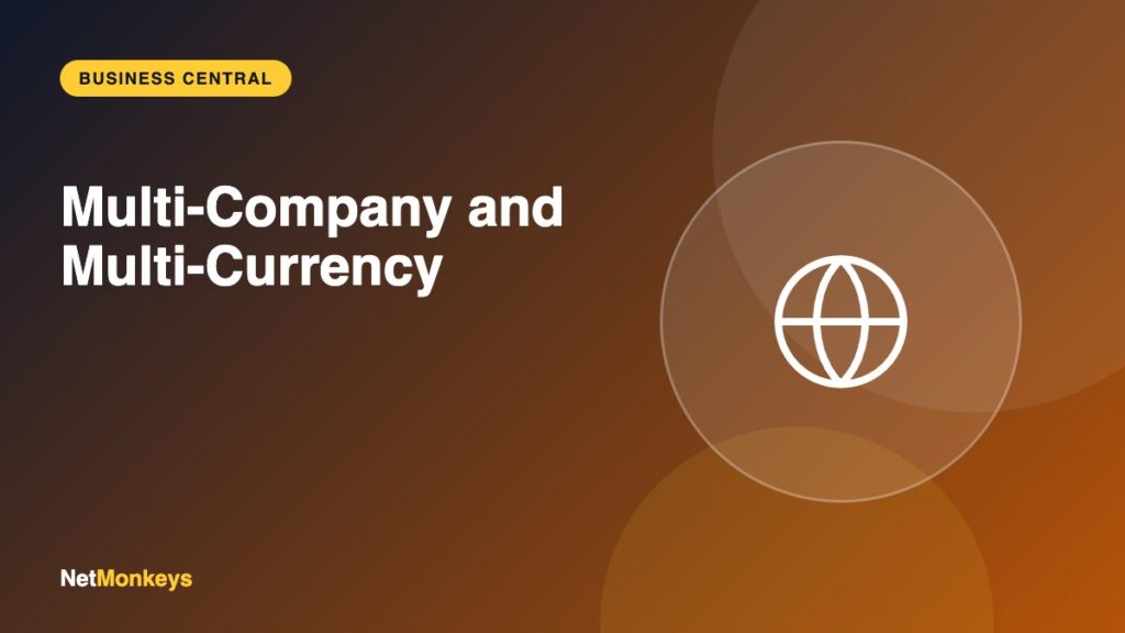 Multi-Company and Multi-Currency - NetMonkeys