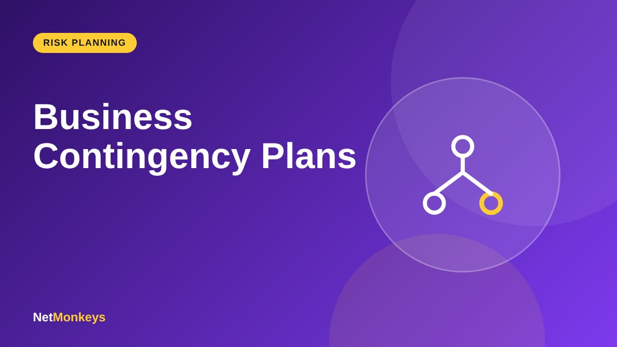 Business Contingency Plans - NetMonkeys guide