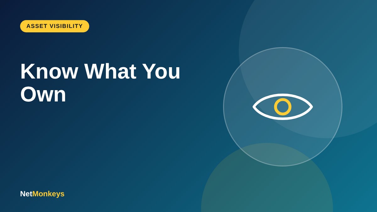 Know What You Own - NetMonkeys guide