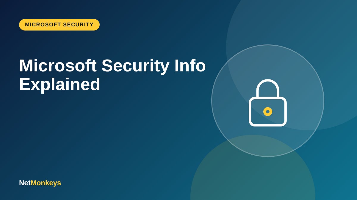 Microsoft Security Info Explained - NetMonkeys guide