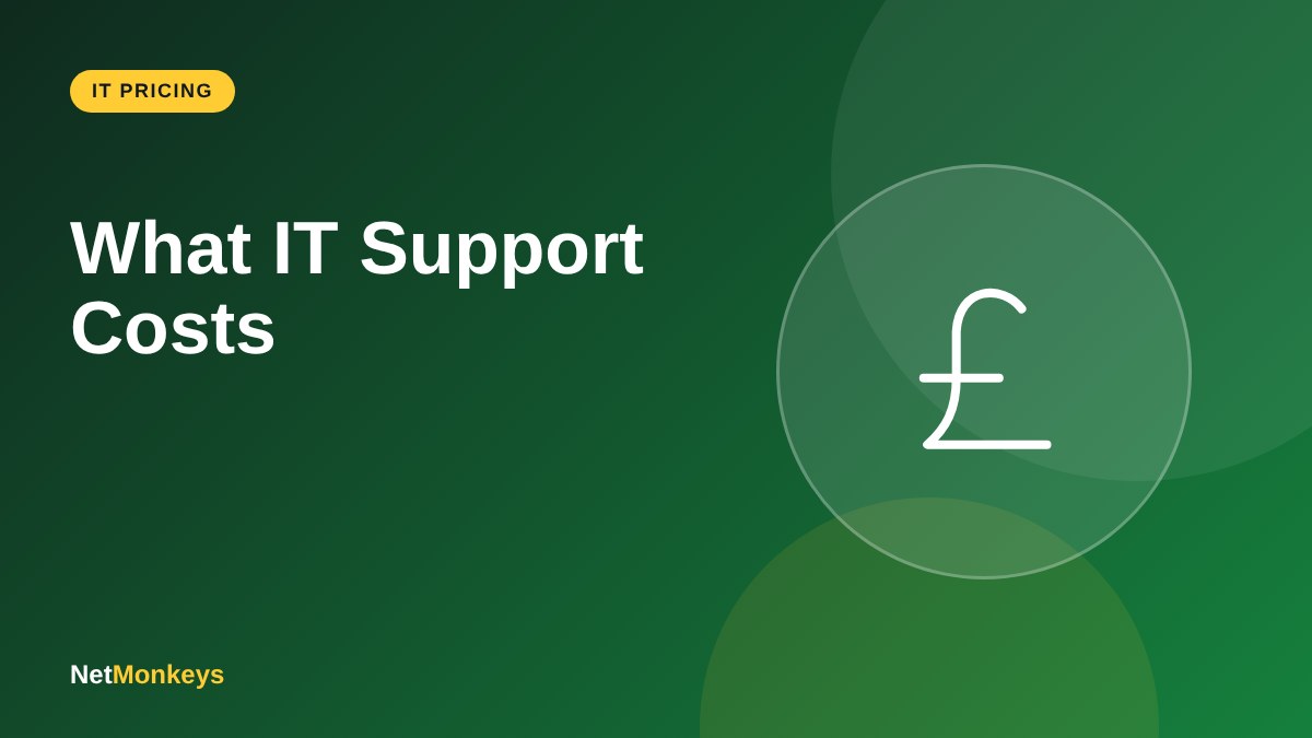 What IT Support Costs - NetMonkeys guide