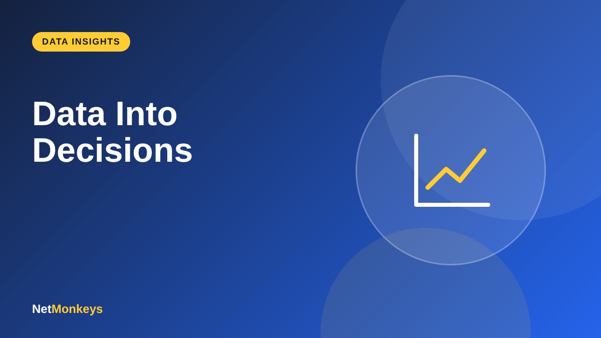 Data Into Decisions - NetMonkeys guide